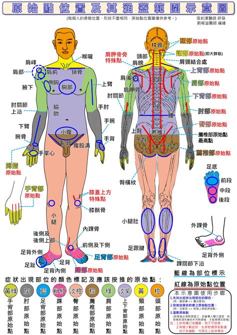 何謂氣結|氣結是什麼？激痛點如何產生？避開5地雷預防肌筋膜。